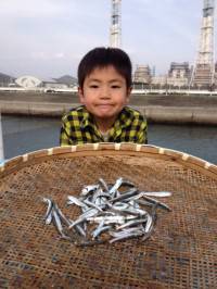 マリーナシティ海釣り公園 サビキのイワシ今…
