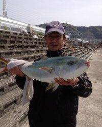 この引き具合たまりません！マリーナシティ釣り堀釣果