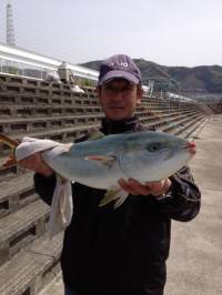 この引き具合たまりません！マリーナシティ釣…