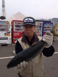 マリーナシティ海洋釣り堀、初心者の方でもたのしめます☆