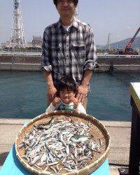 マリーナシティ釣り公園〜イワシ爆釣中デス〜