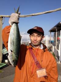 マリーナシティ海洋釣り堀、青物モリモリ釣れています!