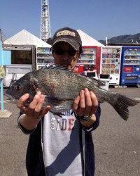 釣り公園、紀州釣りで目指せ50オーバー！