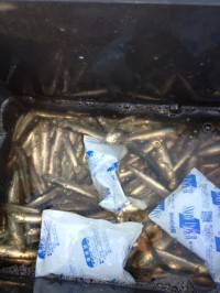 【イワシ警報発令中！】マリーナシティサビキ…