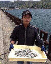 マリーナシティ海釣り公園、今日もサビキでイワシは大漁でした♪