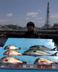 GWはマリーナ海上釣堀がおすすめ！今日も沢山釣れています♪