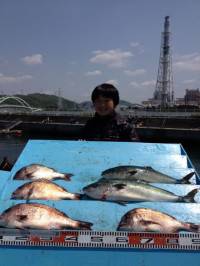 GWはマリーナ海上釣堀がおすすめ！今日も沢山釣れています♪