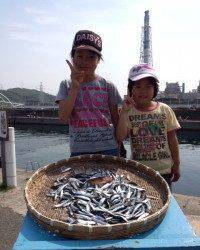 〜イワシ警報発令中〜マリーナシティイワシ大漁です