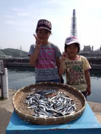 〜イワシ警報発令中〜マリーナシティイワシ大漁です