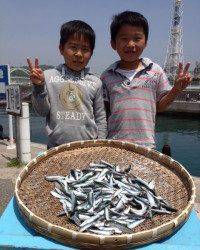 〜イワシ警報発令中〜マリーナシティイワシ大漁です