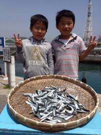 〜イワシ警報発令中〜マリーナシティイワシ大…