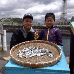 マリーナシティ海釣り公園 サビキのイワシはいぜん好調