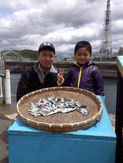 マリーナシティ海釣り公園 サビキのイワシはいぜん好調