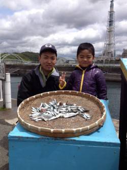 マリーナシティ海釣り公園 サビキのイワシは…