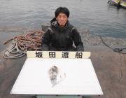 黒島の磯 エギングでアオリイカの釣果