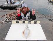 黒島の磯 ヤエンでアオリイカ1.7kg