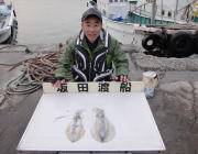 黒島の磯 ヤエンでアオリイカ1.7kg