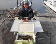 アイゴ合計１００匹オーバーの爆釣★黒島の磯…