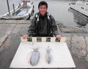 ヤエンでアオリが釣れました！黒島の磯