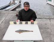 黒島の筏でマゴチが釣れました♪