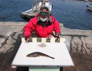 黒島の筏 シラサをエサにマゴチ48cm