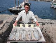 黒島の磯 エギングでアオリイカ〜1.7kg…