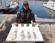 黒島の磯 ヤエンのアオリイカ釣果