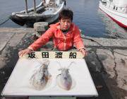 黒島の磯 ヤエンでアオリイカ最大2.4kg