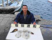黒島の筏 エギングでアオリイカ0.7〜1k…