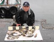 黒島の磯 アイゴ1人で77匹釣果も