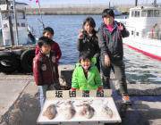 黒島の筏 エギングでアオリイカ〜1.3kg…