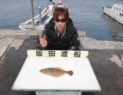 黒島の磯 ヤエンでヒラメ42cm＆アオリイ…