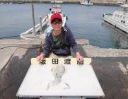 黒島の磯 エギングでアオリイカ1.3kg＆…