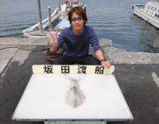 黒島の磯 エギングでアオリイカ1.3kg＆1.5kg