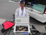 黒島の磯 アイゴ20〜36cm50匹の好釣…