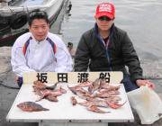 黒島の磯 サバの切り身をエサにガシラ32匹…