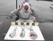 黒島の磯 エギングでアオリイカ〜1.3kg…