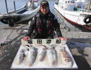 黒島の磯 ヤエンでアオリイカ〜2.4kg5…