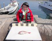 黒島の筏 シラサをエサにマダイ38cm