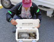 黒島の磯 ウキ釣りでアイゴ32匹