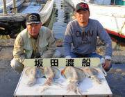 黒島の磯 ヤエンでアオリイカ〜2.3kg