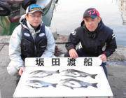 黒島の磯 フカセでチヌ〜41cm4匹