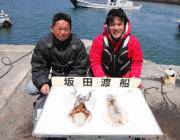 黒島の磯 エギングでアオリイカ〜1.1kg…