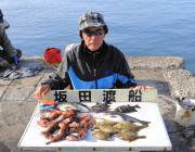 黒島の磯 ガシラ・カワハギ・チヌ・グレなど…