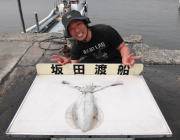 黒島の磯 エギングでアオリイカ〜1.3kg