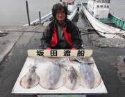 黒島の磯 ヤエンでアオリイカ〜1.9kgの…