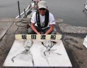 黒島の磯 エギングでアオリイカ〜1.3kg…