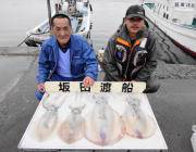 黒島の磯、コンスタントに良型のアオリがあが…