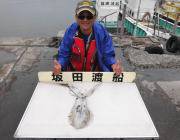 黒島の磯、コンスタントに良型のアオリがあがっています！