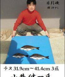 日引磯でチヌ39.5cmを頭に3匹他、各地でチヌが好調です